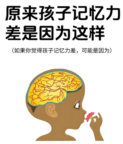 孩子记忆力不好
